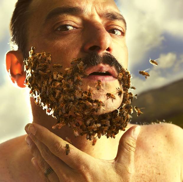 Dimoné, Epris dans la glace