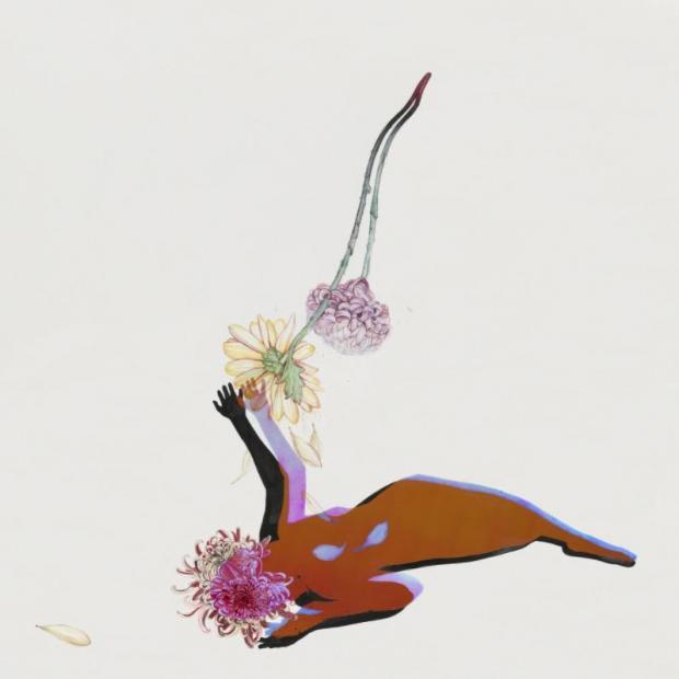 Future Islands, The Far Field