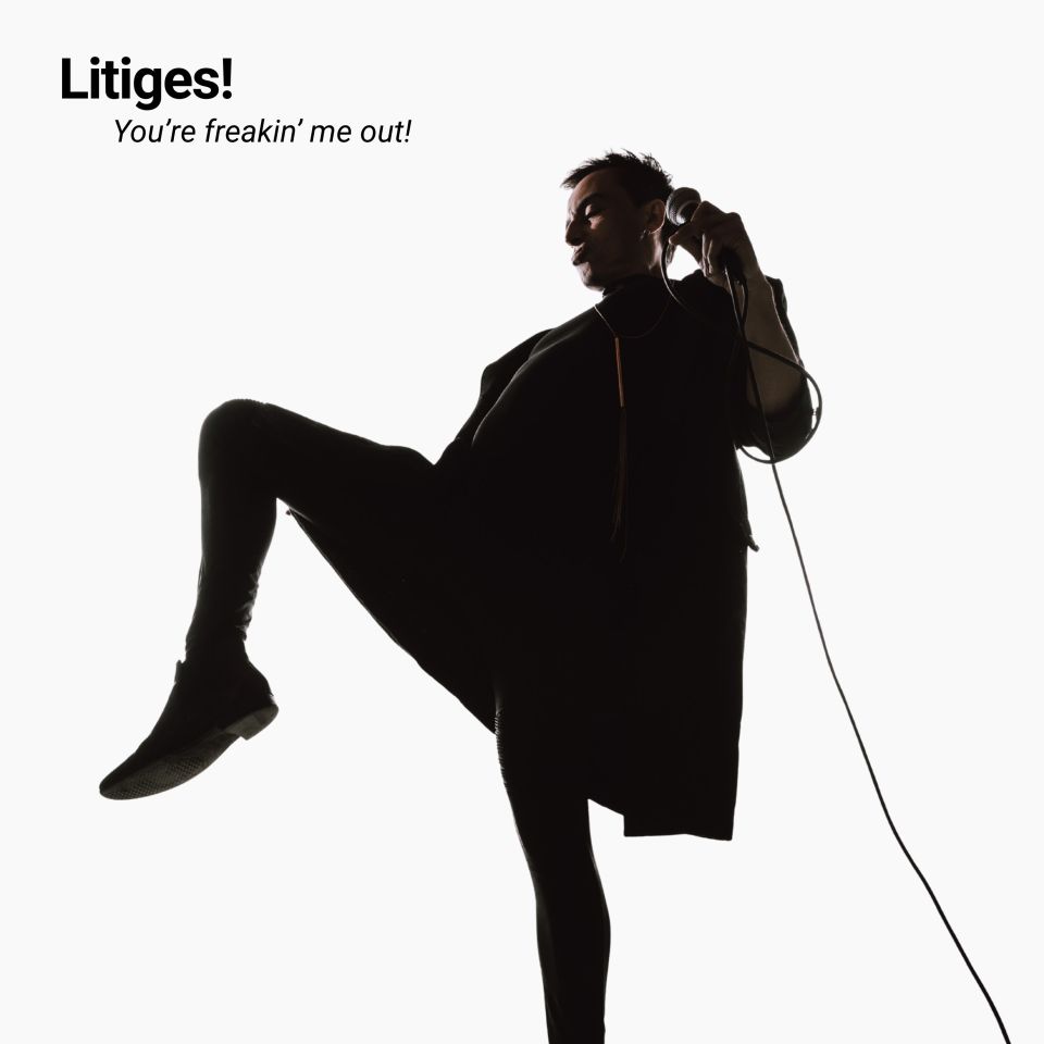 Litiges!, la bonne nouvelle de l'indie rock en France avec You're Freakin' Me Out